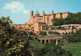 ITALIE - Urbino - Panorama - Panorama - General View - Ansicht - Vue Sur Une Partie De La Ville - Carte Postale Ancienne - Urbino