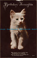 R116802 Greetings Birthday Thoughts. Kitten. RP - Welt