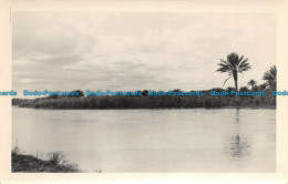 R117030 Old Postcard. Lake And Trees - Wereld