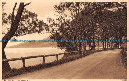 R117048 By Loch Lomond Side. Photochrom. No 69946 - Wereld