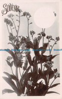 R117191 Souvenir. Flowers - Wereld