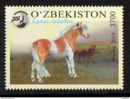 Uzbekistan - 2019 - Animals Of The Toshkent Zoo . - Equus Caballus  - MNH ( OL 24/06/2022. ) - Uzbekistan