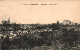 CPA 52 - FAYL-BILLOT (Haute Marne) - Vue Générale - Versant Nord - Fayl-Billot