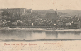 DE502  -.  GRUSS AUS DER SACH. SCHWEIZ   --  PIRNA --  1903 - Pirna