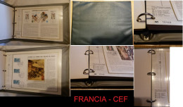 ● FRANCIA 1972 / 1973 ֍ 44 Schede Filateliche Numerate ● Con Francobolli E Annulli FDC ● Edizione CEF ● Compreso Album ● - 1970-1979