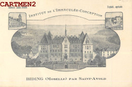 BIDING PAR SAINT-AVOLD INSTITUT IMMACULEE-CONCEPTION EXPLOITATION AGRICOLE 57 MOSELLE - Otros & Sin Clasificación