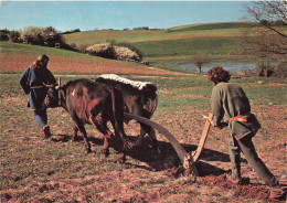 DANEMARK - Ploughing Experiment With The Ard - Carte Postale - Denmark