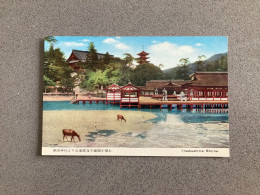 Itsukushima Shrine Carte Postale Postcard - Sonstige & Ohne Zuordnung