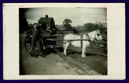 Ref 1652 - Super Early Real Photo Postcard - Close-Up Gentleman With White Horse & Cart - Chevaux
