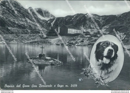 Bu534 Cartolina Ospizio Del Gran San Bernardo E Lago - Aosta