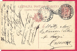 INTERO CARTOLINA POSTALE LEONI C. 10 (INT. 36/16) DA "AMENDOLA*1.1.16*/(COSENZA) PER COSENZA - Marcophilia