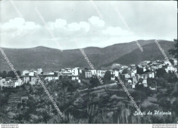 Bu554 Cartolina Saluti Da Platania Provincia Di Catanzaro Calabria - Messina