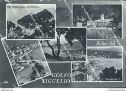 Bu566 Cartolina Saluti Dal Golfo Del Tigullio Provincia Di Genova Liguria - Genova