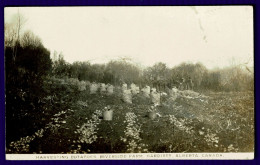 Ref 1652 - Canada - 1912 Rare Real Photo Postcard - Riverside Farm Hardisty Alberta - Sonstige & Ohne Zuordnung