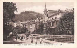 Amélie Les Bains * Promenade Et Pont Du Mondoni - Amélie-les-Bains-Palalda