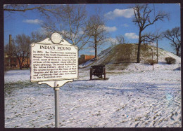 AK 212546 USA - West Virginia - South Charleston - Indian Mound - Andere & Zonder Classificatie