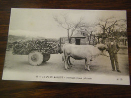 C.P.A.- Pays Basque - Attelage (roues Pleines) Boeuf - 1910 - SUP (HW 70) - Languedoc-Roussillon