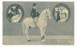 RO 97 - 25382 LEOKADIA, Romanian Circus, EQUITY, Romania - Old Postcard - Unused - Roumanie