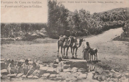CPA Fontaine De Cana En Galilée - Israel