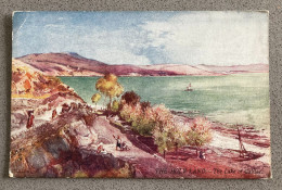 The Lake Of Galilee Carte Postale Postcard - Israël