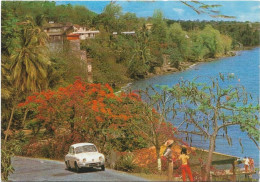 CPSM - Format 10,5 X 15  Cm - Dauphine RENAULT, à La Côte Caraïbe (MARTINIQUE) - Passenger Cars
