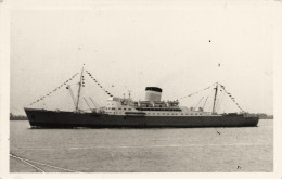 EVA PERON Eva Peron * Carte Photo * Bateau Commerce Paquebot Cargo * Argentine Argentina Vickers Armstrong - Paquebots