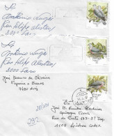 Portugal , 1991 , Wwf , Madeira , Pombo Trocaz , Pigeon , Columba Heineken , 3 Envelopes - Brieven En Documenten