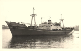 BRATSTVO Bratstvo * Carte Photo * Bateau Commerce Paquebot Cargo * Yougoslavie Serbie - Comercio