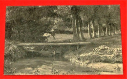 Bourgeois  -  Pont Du Bailois   -  1910  - - Rixensart