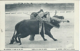 Corrida De Toros Le Matador Atteint Par Le Taureau - Corrida