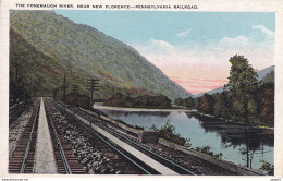 THE CONEMAUGH RIVER, NEAR NEW FLORENCE - PENNSYLVANIA RAILROAD - Other & Unclassified