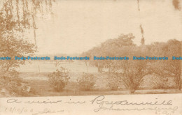 R117638 Old Postcard. Trees And Fields - Monde