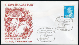 Lugo - Edi O 2393 - Mat "Foz - IX Semana Micoloxica Galega 13/Nov./87" - Storia Postale