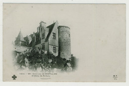 36 - B4547CPA - CHATILLON - Château De Palluau - Carte Pionnière - Très Bon état - INDRE - Other & Unclassified