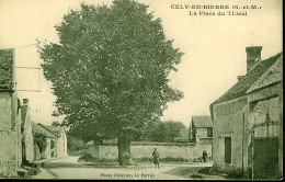 77 - B1309CPA - CELY EN BIERRE - La Place Du Tilleul - Bon état - SEINE-ET-MARNE - Other & Unclassified