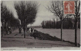 78 - B30860CPA - ANDRESY - Promenade Des Tilleuls - Très Bon état - YVELINES - Andresy