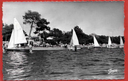 33 - B26688CPSM - ANDERNOS LES BAINS - LE MAURET - Régates - Très Bon état - GIRONDE - Andernos-les-Bains