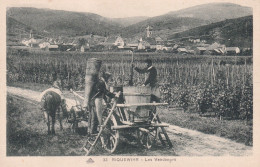 RIQUEWIHR(VENDANGES) - Riquewihr