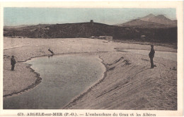 FR66 ARGELES SUR MER - Campagne 678 - Colorisée - L'embouchure Du Grau Et Les Albères - Animée - Belle - Argeles Sur Mer