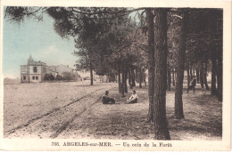 FR66 ARGELES SUR MER - Campagne 705 - Colorisée - Un Coin De La Foret - Animée - Belle - Argeles Sur Mer