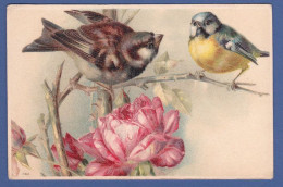 AA753 FANTAISIES OISEAUX MESANGE MOINEAU FLEUR ROSE DESSIN AQUARELLE PRECURSEUR- - Birds