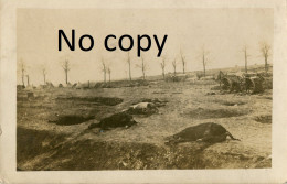 CARTE PHOTO ALLEMANDE - CADAVRE DE CHEVAUX CAMP ANGLAIS A HARTENNES PRES DE DROIZY AISNE GUERRE 1914 1918 - Oorlog 1914-18