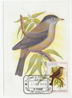 Maximum Card Sao Tomé En Principe 1979 Bird - Black-capped Speirops  - Otros & Sin Clasificación