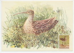 Maximum Card Netherlands 1961 Bird - Curlew - Otros & Sin Clasificación