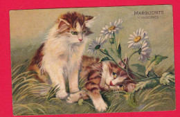 AE975 FANTAISIES ILLUSTRATEUR BOULANGER CHATS CHATONS HUMANISES MARGUERITE INNOCENCE EN 1904 - Other & Unclassified