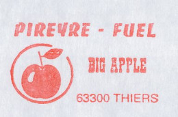 Meter Cover France 2002 Apple - Frutta