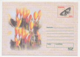 Postal Stationery Romania 2003 Butterfly - Flower - Crocus - Otros & Sin Clasificación