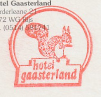Meter Postcard Netherlands 1999 Squirrel - Other & Unclassified