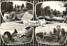 72167350 Koenigsfeld Schwarzwald Kuranlagen Zames Eichhoernchen Ruine Waldau Koe - Otros & Sin Clasificación