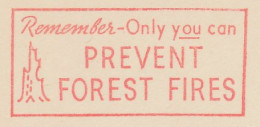 Meter Cut USA Prevent Forest Fires  - Bomen